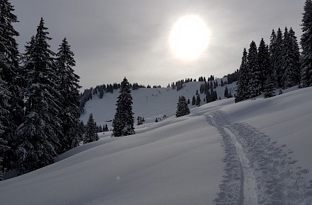 Ski-Freizeiten 2022/2023 online